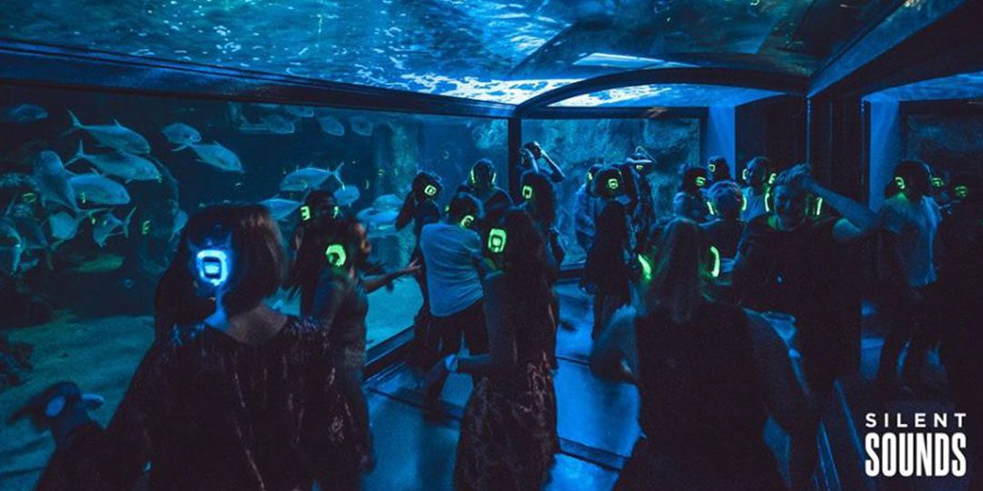 Silent Disco At Sydney Aquarium