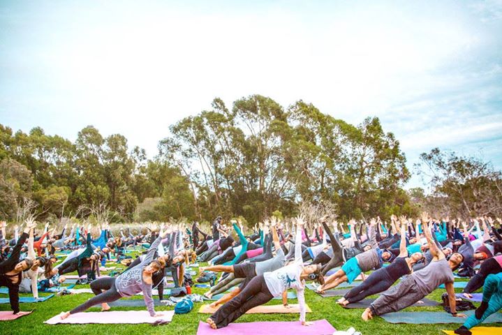 Yoga Social