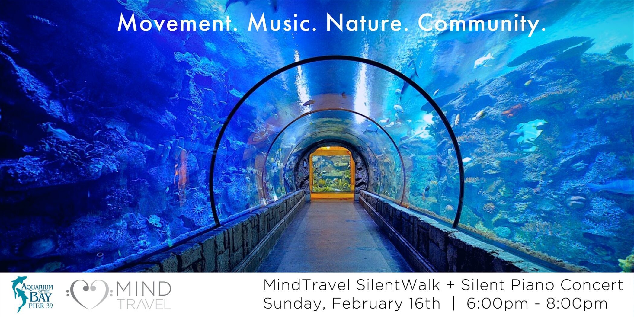 Underwater SilentWalk + Live-to-Headphone Concert at Aquarium of the Bay